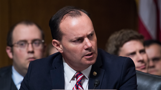WATCH: Mike Lee explodes on voting error that 'keeps happening' as huge number of noncitizens found on rolls