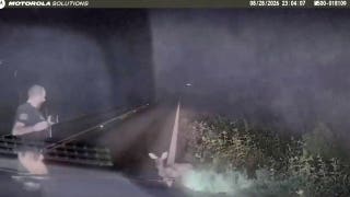 Texas deputy screams and runs after 'dead' deer springs to feet in viral encounter