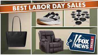 The best Labor Day sales are here — save up to 80% at Best Buy, SharkNinja and more - Fox News
