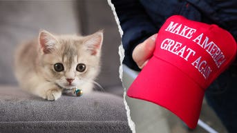 PETA tells kitten org to drop 'no f---ing MAGA' adopter policy in stinging rebuke - Fox News