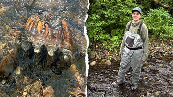 Strange rock catches scientist's eye during creek search, leading to rare discovery - Fox News