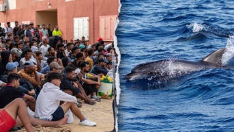 Migrants filmed beating baby dolphin with a stick as locals erupt in fury - Fox News