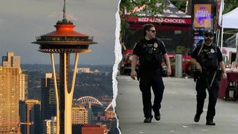 Blue-city police chief has a new term for known gun violence suspects on streets - Fox News