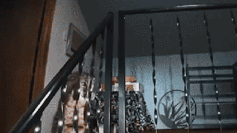 Homeowner hears banging and calls 911 — Cops find a surprise waiting upstairs - Fox News