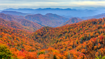 America's best national parks for fall revealed — plus the NPS director's personal picks - Fox News