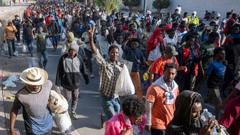 Expert warns France and Germany 'teetering' as mass migration batters sovereignty - Fox News