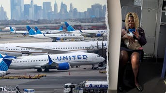 United flight attendant catches baby before fall, holds child so exhausted mom can sleep - Fox News