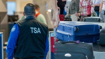 Traveler busted after TSA agent spots puzzling items next to passenger's Xbox - Fox News