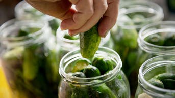 Pickle-flavored snacks boom as sales jump 30% and craze hits new extremes - Fox News