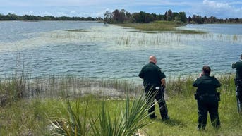 Child is attacked by massive alligator after entering a no-swimming zone - Fox News