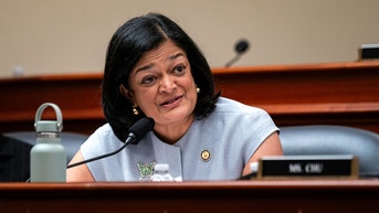 Jayapal claims majority of recent DHS arrestees posed 'no threat to public safety' - Fox News