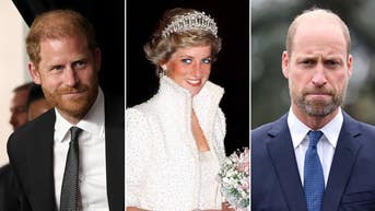 Prince Harry's rumored Diana film 'might feel like another betrayal' to Prince William as rift grows: expert - Fox News