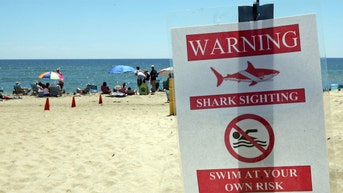 Popular tourist hub rocked by shark attack that sent woman to hospital - Fox News