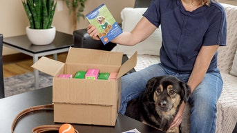 Girl Scout cookies going to the dogs as vet warns against 'unintentionally overfeeding' - Fox News