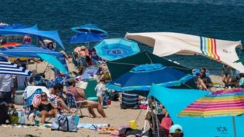 How a booming coastal escape learned to coexist with the ocean’s top predator