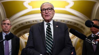 Schumer preaches affordability in Dem midterm pitch while sabotaging GOP fixes for soaring costs