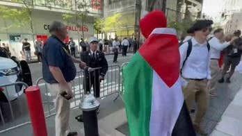 Firefighter caught on camera ripping pro-Palestinian agitator in Elmo costume near Ground Zero on 9/11
