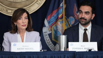 NY Gov Kathy Hochul accuses Trump of 'defunding the police,' says DHS is 'withholding' counterterror funds