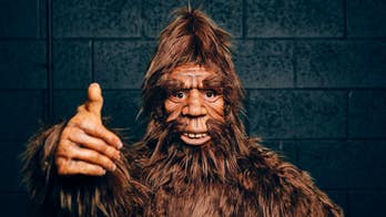Police determine that a Maine Bigfoot was actually man in a 'very convincing costume'