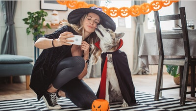 The hidden ways social media is reshaping how we celebrate Halloween - Fox News