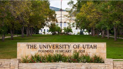 Utah college Republican jumped by trans woman after verbal altercation - Fox News