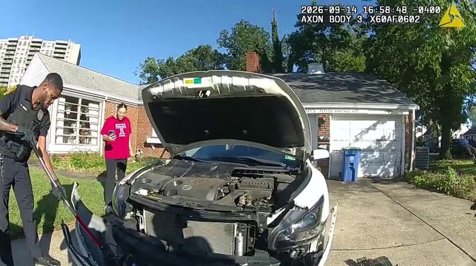 Police officers work to rescue a 3-foot python trapped in a car's front grille.