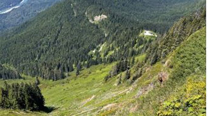 Sauk Mountain