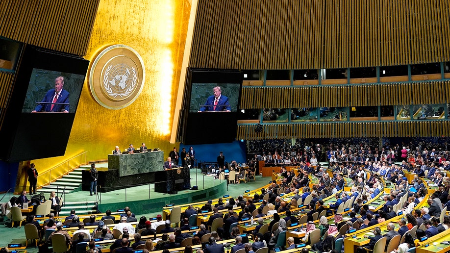 Donald Trump speaks in front of assembled world leaders.