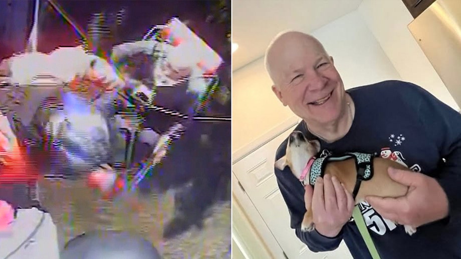 Missing hiker rescued after disappearing for a week in remote national park