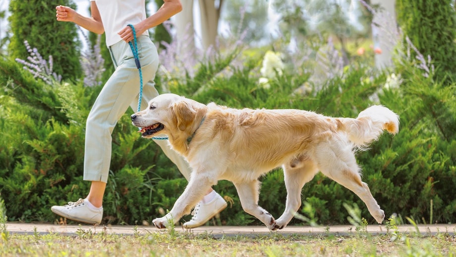 One simple lifestyle choice could help you live longer, says longevity expert