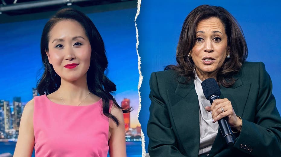 Ex-Dem insider exposes what Harris told top donors days before Biden dropped out: 'So insulting'
