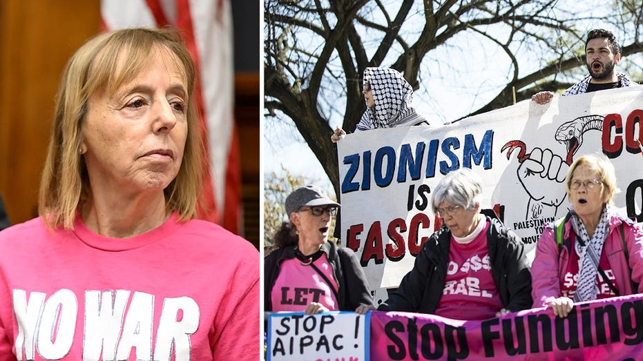 How CodePink co-founder Medea Benjamin's family foundation became a major funder of left-wing activist groups