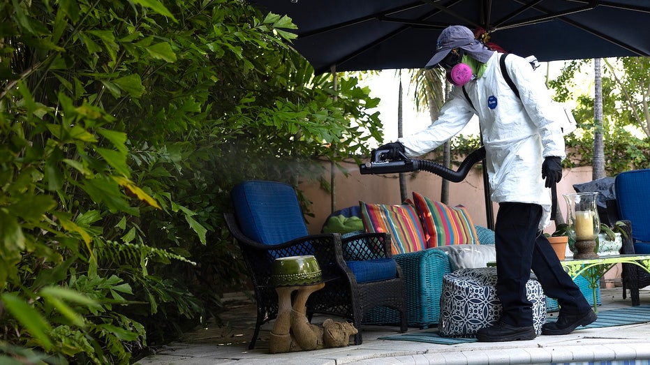 Dengue fever outbreak triggers states of emergency in 3 southern counties
