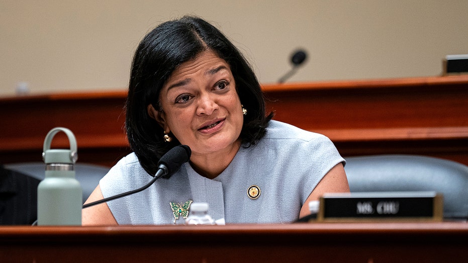 Washington Democrat claims majority of recent DHS arrestees posed 'no threat to public safety'