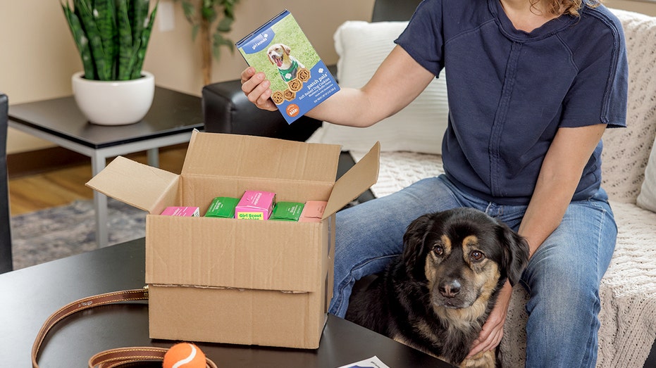 Girl Scout cookies going to the dogs as vet warns against 'unintentionally overfeeding'