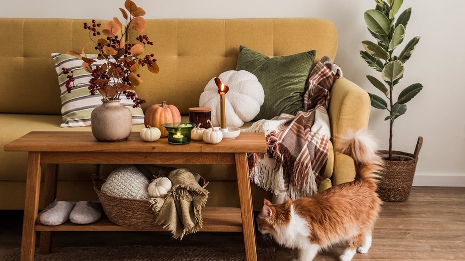 Make your home cozier for fall with these upgrades under $50