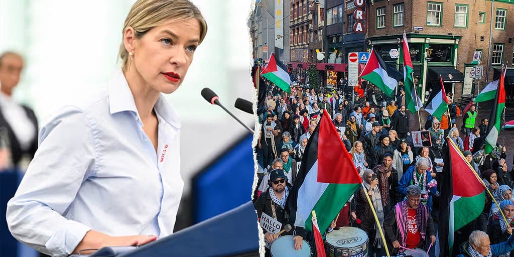 European Parliament votes to confront Muslim Brotherhood, 'Islamist entryism' in overwhelming vote