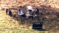 Deadly crash kills two as plane plunges into 'ball of flames' near suburban golf course - Fox News