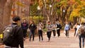 How a hidden scam plaguing college campuses has racked up a multimillion-dollar price tag - Fox News