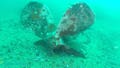 Haunting clues emerge in 7-year fishing boat mystery after wreckage found off island - Fox News