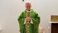 Pope Leo XIV seen for first time since lung cancer surgery amid major recovery milestone - Fox News