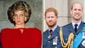 Princess Diana feared Prince Harry would ‘wither’ in Prince William’s shadow: expert - Fox News