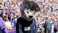 LSU’s Mike the Tiger stalks referee while dressed as Michael Myers, appears to be steered away by staffer - Fox News