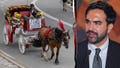 Mamdani accused of betraying NYC workers as union boss blasts 'anti-labor' horse carriage ban - Fox News