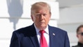 DOJ flooded with thousands of fraud tips after cash incentive launch, Trump official says - Fox News