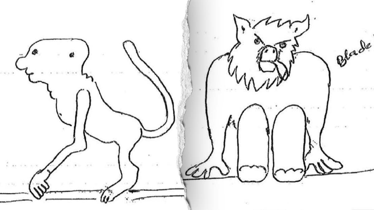 Two black-and-white eyewitness drawings depicting unusual creatures, including a long-tailed, four-limbed figure and a larger, pointed-eared creature.