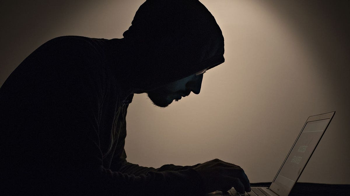 A hacker using their laptop.