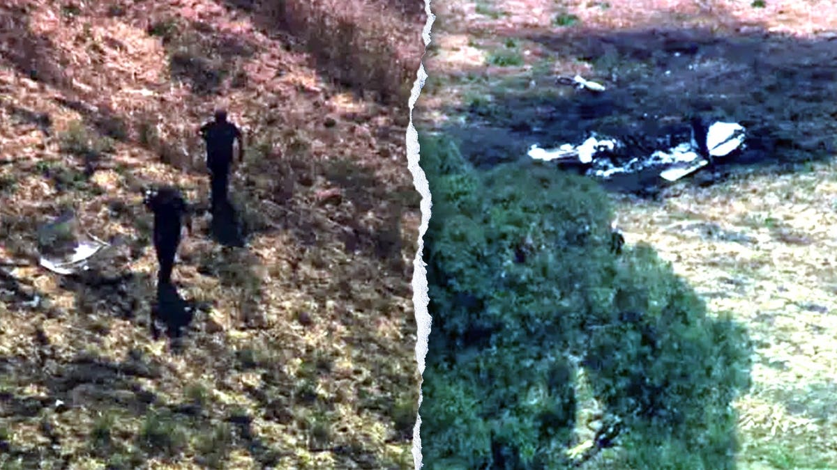 View of investigators next to plane crash site