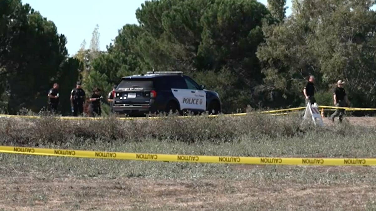 Police cars at scene of plane crash