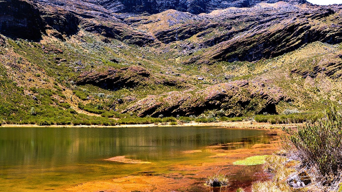 View of lake in North Santander, Colombia